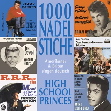 1000 Nadelstiche: Amerikaner & Briten singen deutsch, Volume 4: High School Princes by Various Artists - album cover