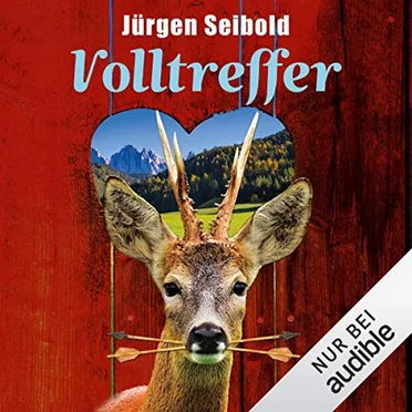 Volltreffer by Jürgen Seibold - album cover