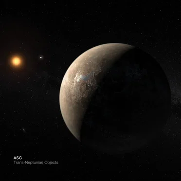 Trans‐Neptunian Objects
