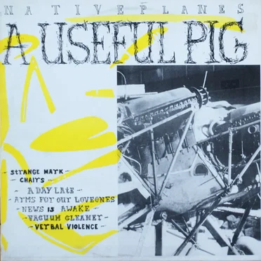 Native Planes by A Useful Pig - album cover