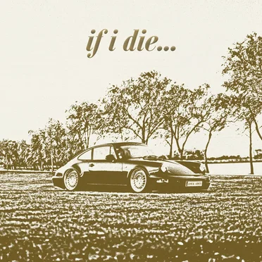 if i die...