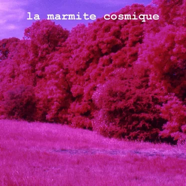 volume 2 by la marmite cosmique - album cover