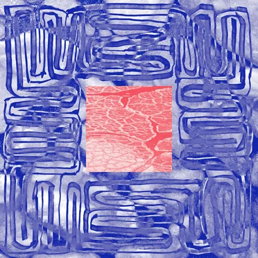 Albédo by Totalement Sublime - album cover
