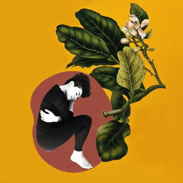 Cocooned by Flo Perlin - album cover