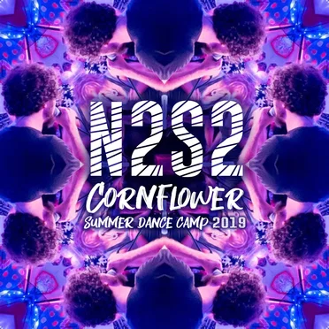 N2S2