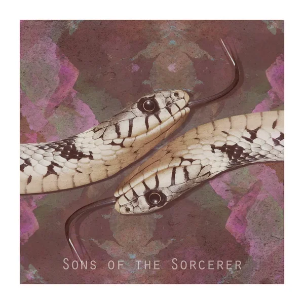 Sons of the Sorcerer