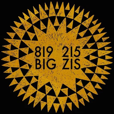 819 215 3/3 by Big Zis - album cover