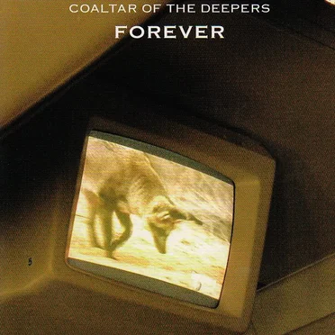 Forever