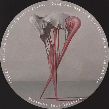 Tortured Mind by SKiRRA - album cover