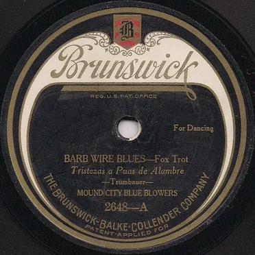 Barb Wire Blues / You Ain't Got Nothin' I Want