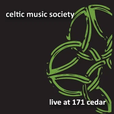 Live at 171 Cedar by Roisin Dubh - album cover