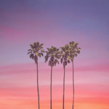 Sunset Vibes by MatterFalls - album cover