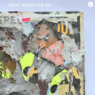 What Would You Do by EdZilla - album cover