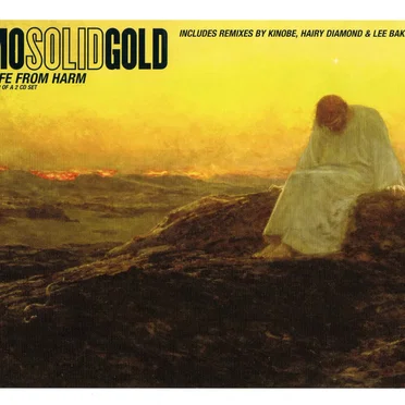 Safe From Harm by Mo Solid Gold - album cover