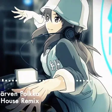 Säkkijärven Polkka (Deep House Remix)