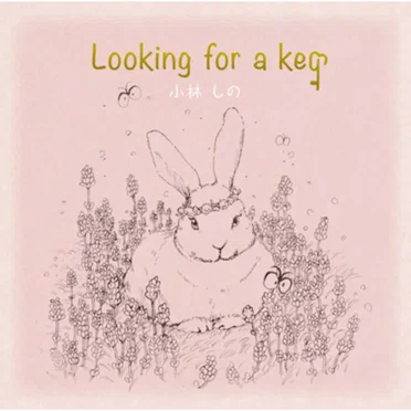 Looking for a key