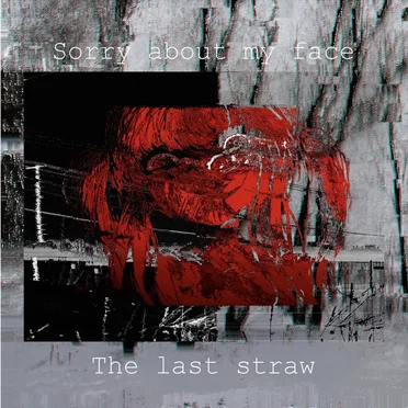 The last straw by Sorry about my face - album cover