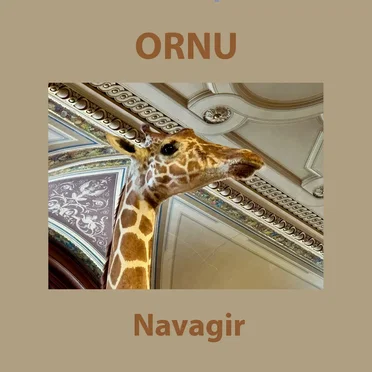 Navagir