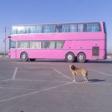 Фильмы