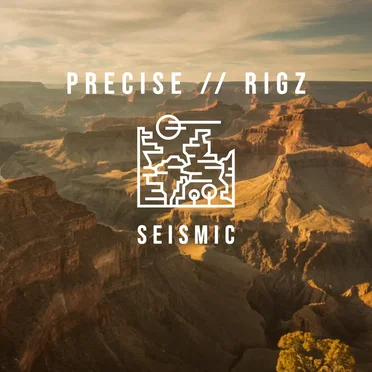 Seismic
