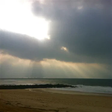 Tout part de trois et y revient by Nihila - album cover