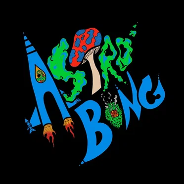 A Trippers Guide by Astro Bong - album cover