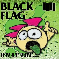 Black Flag artist image