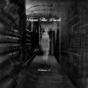 From the Dark Volume 2 by Various Artists - album cover
