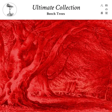 Ultimate_Collection “'beech trees'” by Various Artists - album cover