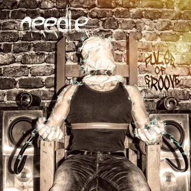 Pulse of Groove by Needle - album cover
