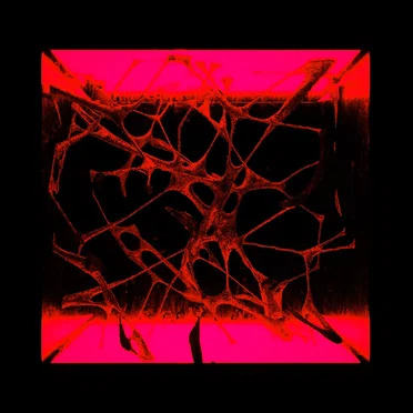 Flashforward (Squid remix)