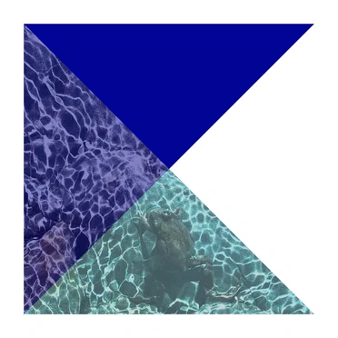 Forget by Louise Lee - album cover