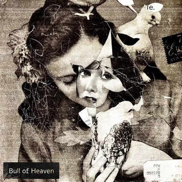 Such as Is Not by Bull of Heaven - album cover