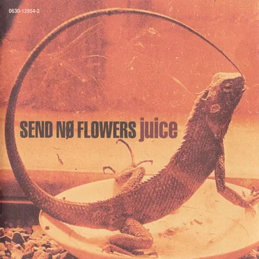 Send Nø Flowers