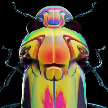 Honeybee by GRRL - album cover