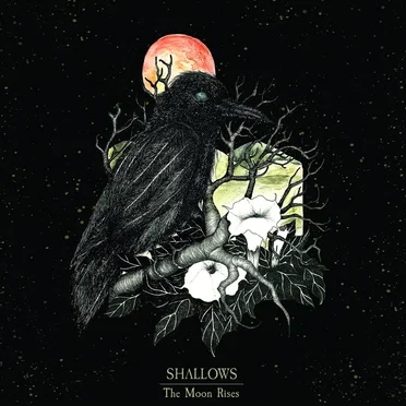 The Moon Rises by Shallows - album cover