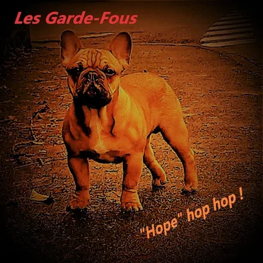 "Hope" hop hop !