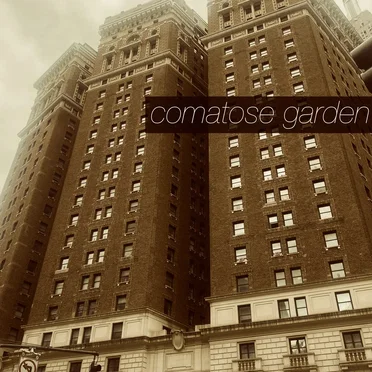 Mindless, Hopeless, Endless by comatose garden - album cover