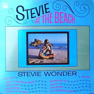 Stevie at the Beach