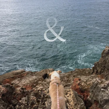 & by Closed Circuits - album cover