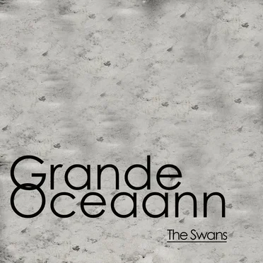 Grande Oceaan - The Swans