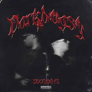 DARKBUGSY