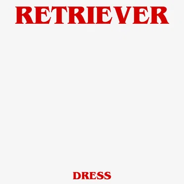 Dress by Retriever - album cover