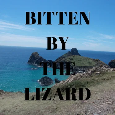 Bitten By The Lizard by Vision Of Colour (V.O.C.) - album cover