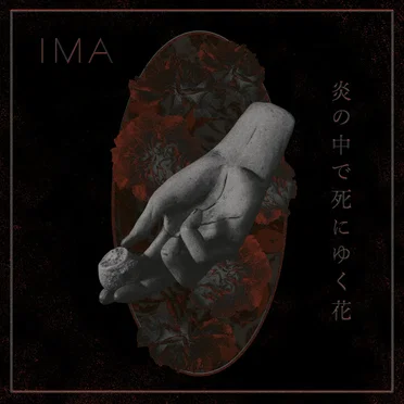 The Flowers Die in Burning Fire - 炎の中で死にゆく花 by IMA - album cover