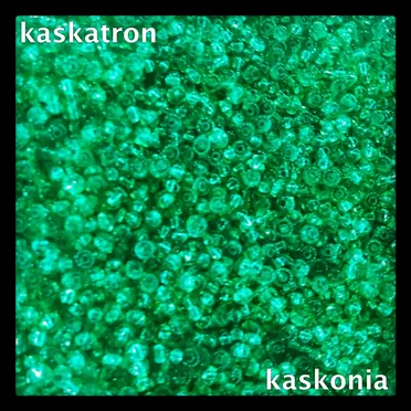 Kaskonia by Kaskatron - album cover