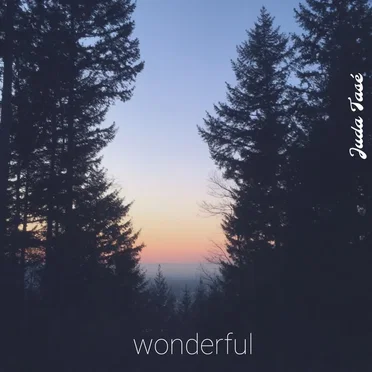 Wonderful