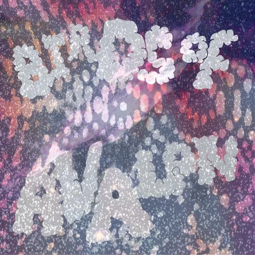 Birds Of Avalon by Birds of Avalon - album cover