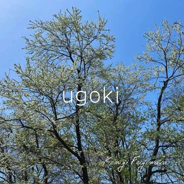 ugoki