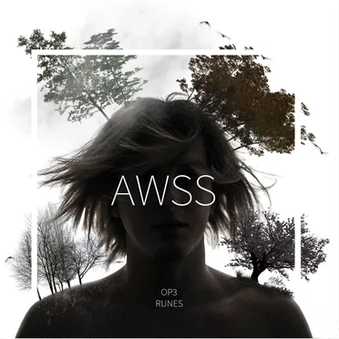AWSS by OP3 - album cover